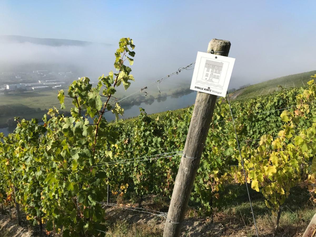 Sybille Kuntz Weingut Gaestehaus Лизер Экстерьер фото